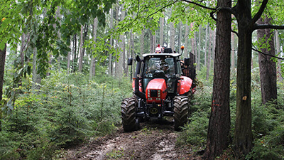 Agriculture & Forestry