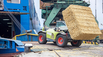 Logistics & Hub Operations